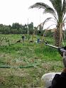 177 parte la caccia al cinghiale